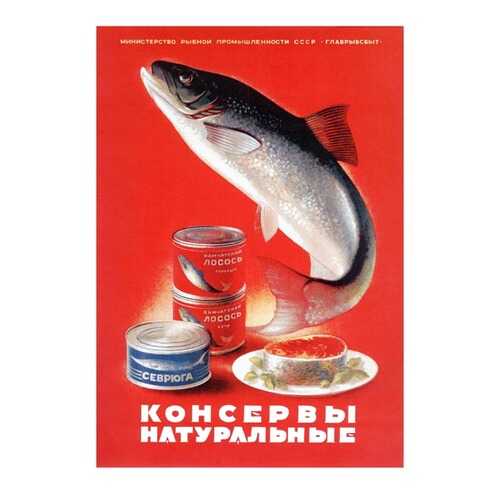 Плакат СТ-Диалог Консервы натуральные, СОВ-535, лам.бумага, 40х60 см в Tupperware