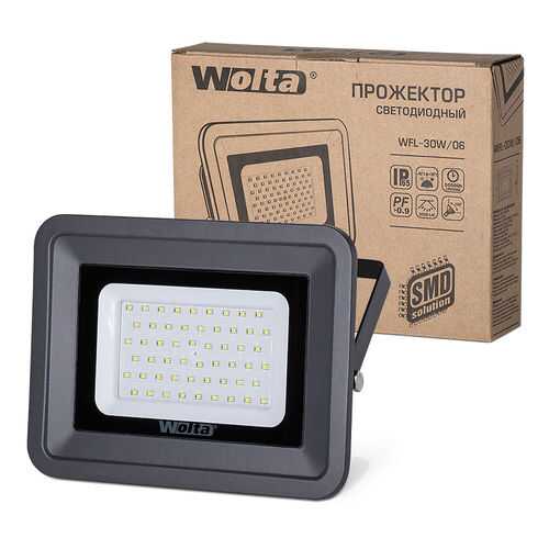 Прожектор Wolta WFL-30W/06 в Tupperware